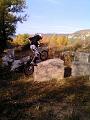 IMG_20111031_101240