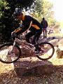 IMG_20111031_102634