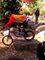IMG_20111031_102642