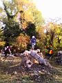 IMG_20111031_102952