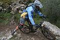 Photo_269