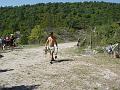 DSC00937