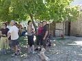 DSC00951