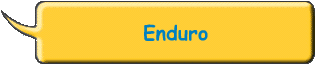 Enduro