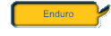 Enduro